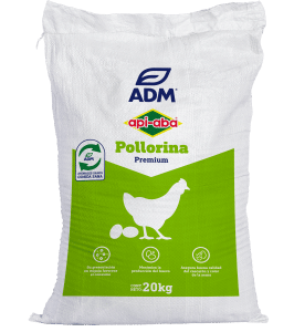 POLLORINA HUEVO CAMPERO