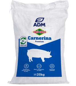 CARNERINA NO. 5 GESTACIÓN